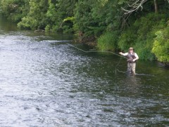 Fishing in the Cong river