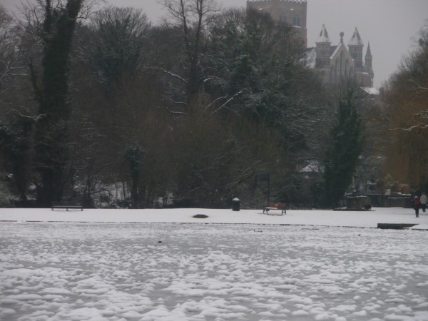 St Albans Winter 2010