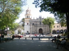 Coyoacan, one of Mexico City's more affluent suburbs