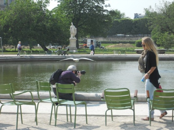 One flying Parisian wasn't too impressed with this photographer
