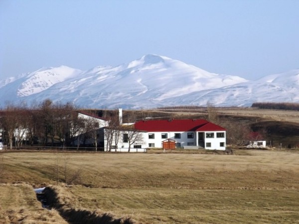 Farm stays in Iceland 
