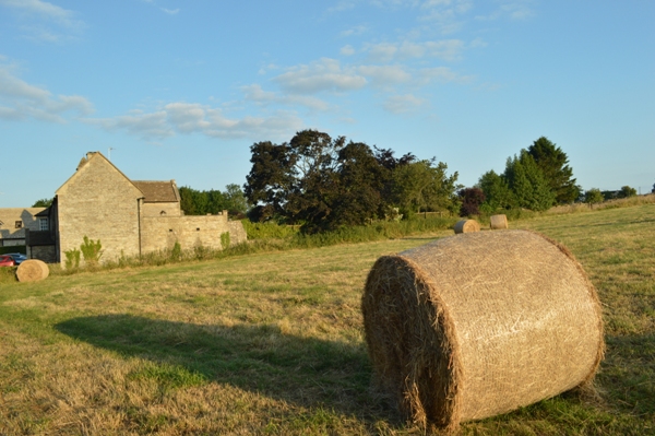 Summer hay bales