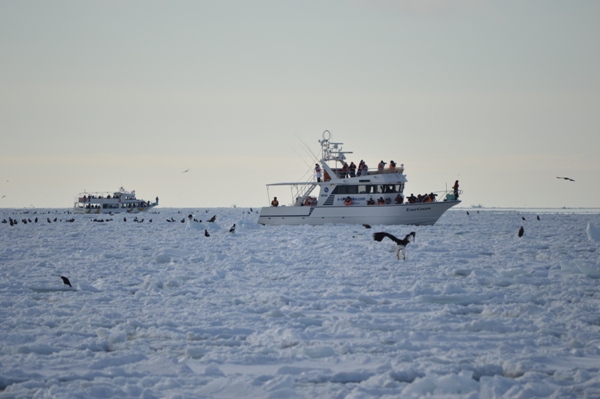 Ice breakers on the drift ice in the Sea of Okhotsk